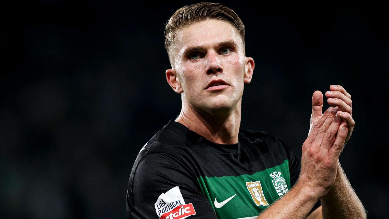 大使的理由 大使的理由